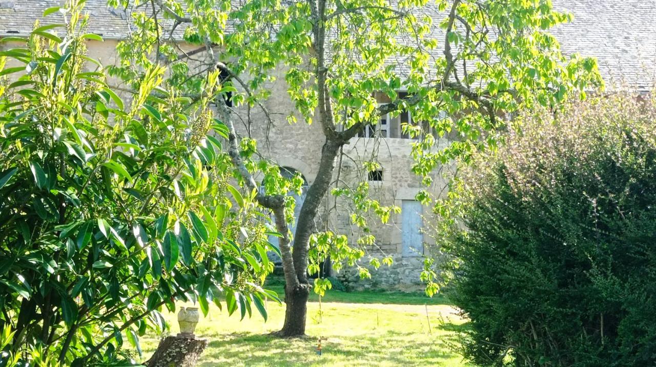 Maris Domus Pres Des Plages Du Debarquement Bayeux Zewnętrze zdjęcie